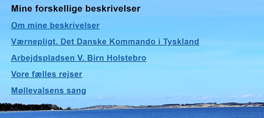 Dette billede har en tom ALT-egenskab (billedbeskrivelse). Filnavnet er erindringer-1024x461.jpg